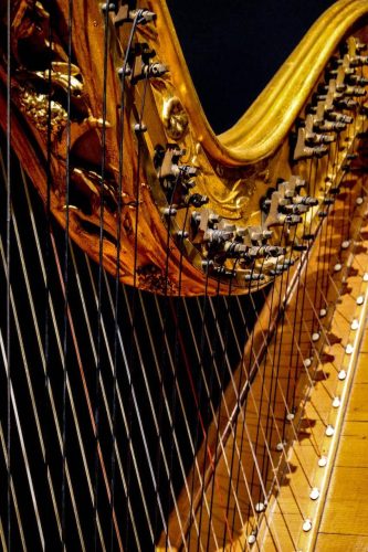 accademiabeethoven-20